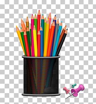 School Supplies Elementary School Student PNG, Clipart, Computer Icons ...