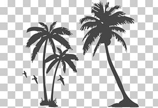 Sunset Arecaceae Euclidean Silhouette PNG, Clipart, Arecaceae, Arecales ...