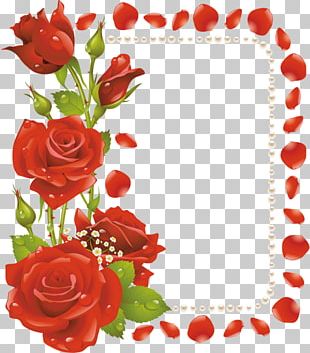 Heart Rose Frames PNG, Clipart, Cut Flowers, Drawing, Fictional ...