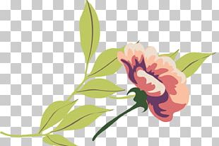 Green Grass Flowers PNG
