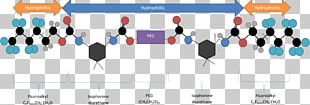 Hydrogel Encapsulation Of Quantum Dots Superabsorbent Polymer PNG