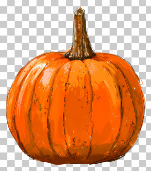 Fall Pumpkin - Bright Orange Pumpkin Illustration PNG