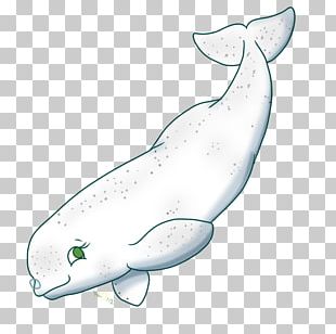 Baby Shark PNG Images, Baby Shark Clipart Free Download