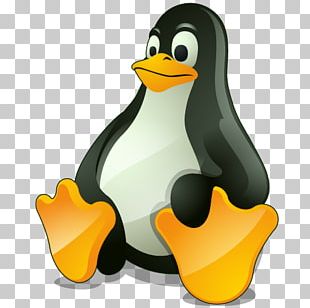 SuperTux Super Mario Bros. Tux Racer Linux Computador ícones, linux, jogo,  super Mario Bros, vertebrado png