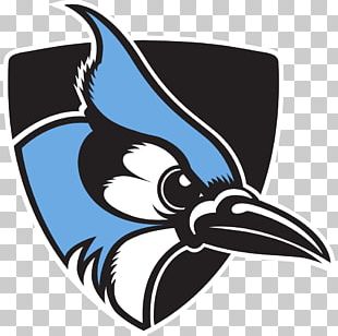 Download Blue Jay Clipart Mascot - Snook Secondary PNG Image with No  Background 