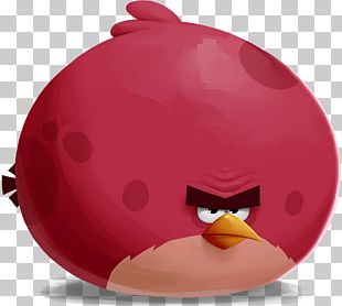 Angry Birds Space png download - 900*810 - Free Transparent Angry Birds 2  png Download. - CleanPNG / KissPNG