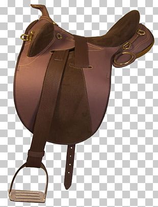 Horse English Saddle Western Saddle Australian Stock Saddle PNG ...