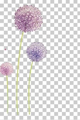 Common Dandelion Wall Decal Sticker PNG