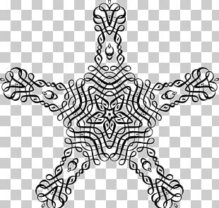 Line Art Drawing PNG