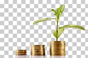 Loan Money Investment Finance Funding PNG