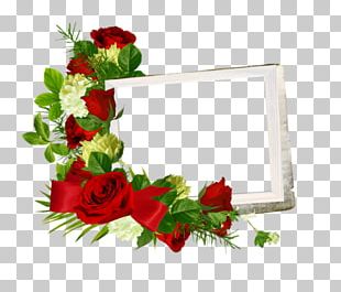 Flower Frames Paper Png, Clipart, Branch, Cicek, Cicek Resimleri, Color 