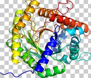 Alirocumab PCSK9 Evolocumab Proprotein Convertase Structure PNG ...