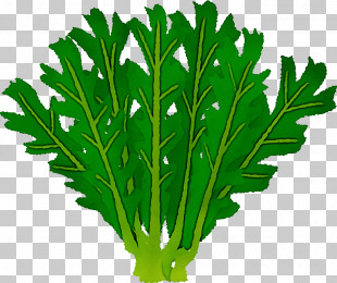 parsley cartoon clipart