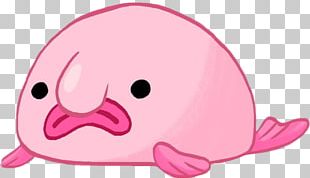 Blobfish Animal FlowVella Snout PNG, Clipart, Animal, Blobfish, Cheek,  Closeup, Face Free PNG Download