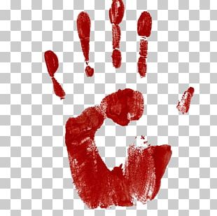 Blood Stock Photography Hand PNG, Clipart, Blood, Blood Film, Color ...