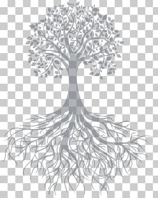 Tree Root Branch PNG, Clipart, Black And White, Branch, Clip Art, Flora ...