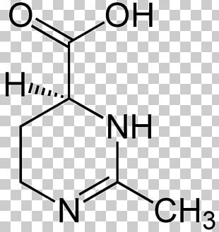 P-Toluic Acid M-Toluic Acid Benzoic Acid P-Anisic Acid PNG