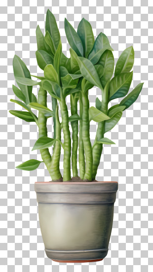 Plant In Pot - Green Potted Plant Illustration PNG