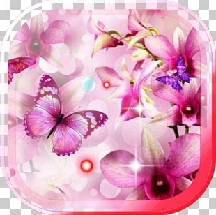Moth Orchids Flower Stock Photography PNG, Clipart, Blossom, Branch ...