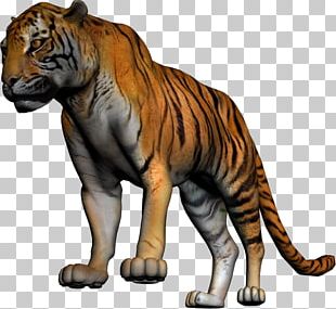 Lion Liger Leopon Cheetah Tiger PNG, Clipart, Animals, Anime, Art, Big ...