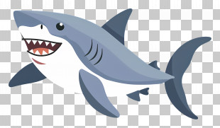 Cute Shark - Smiling Cartoon Shark With Teeth PNG