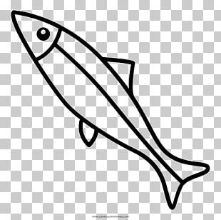 anchovie clipart