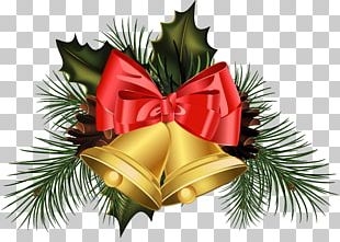 Wearing Christmas Hats Teeth PNG, Clipart, Christmas, Christmas Clipart ...