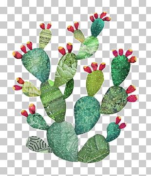 Cactaceae Watercolor Painting Illustration PNG, Clipart, Amphibian, Art ...