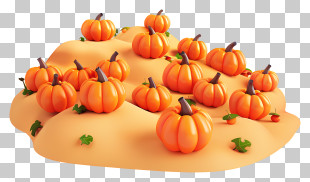 Pumpkin Patch - Cute Pumpkin Patch In Autumn PNG