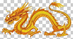 China Chinese Dragon Japanese Dragon Water PNG, Clipart, Art, China ...