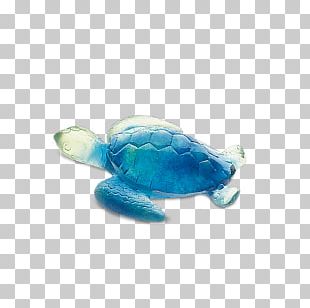 Green Sea Turtle Towel Color PNG, Clipart, Animals, Bathroom, Carpet ...