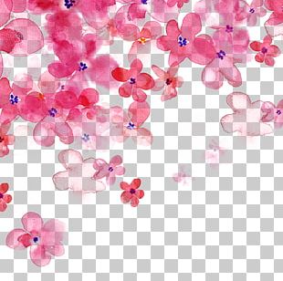 Flower Poster PNG Images, Flower Poster Clipart Free Download