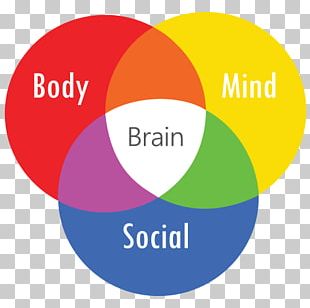 Biopsychosocial Model PNG Images, Biopsychosocial Model Clipart Free ...