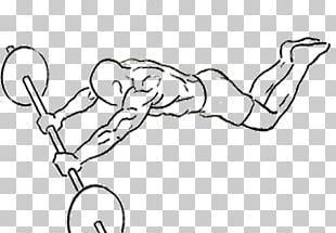 Thumb Abdominal Exercise Crunch Knee PNG