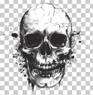Vintage Skull - Colorful Skull Art Illustration PNG