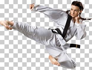 Karate Korean Martial Arts Taekwondo PNG, Clipart, Art, Artwork, Black ...