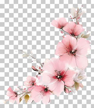 Pink Floral Corner - Delicate Pink Watercolor Floral Illustration PNG