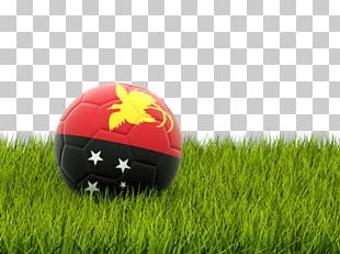 Netherlands National Football Team 2010 FIFA World Cup The UEFA European Football Championship England National Football Team PNG