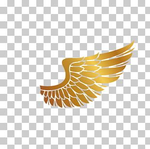 Angel Cartoon Wing PNG, Clipart, Angel, Cartoon, Wing Free PNG Download