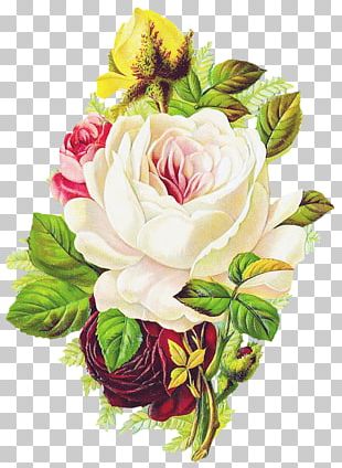 Flower Garden Roses Vintage Clothing PNG, Clipart, Decoupage, Designer ...