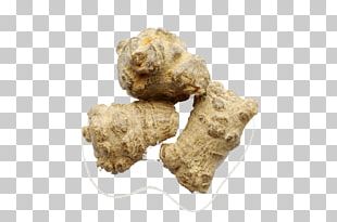 Panax Notoginseng Panax Pseudoginseng Extract Herb Saponin PNG