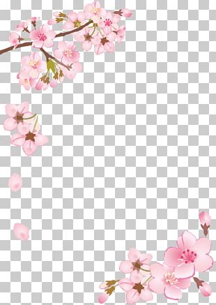 Cherry Blossom Fram PNG