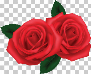 2 roses clipart background