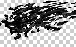 Black And White Cinema 4D Rendering 3D Computer Graphics PNG