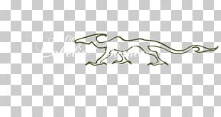 Cat Velociraptor Dinosaur Carnivora Mammal PNG