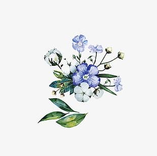 Watercolor Blue Flowers PNG, Clipart, Blue, Blue Clipart, Blue Flowers ...