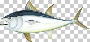 Fish Sardine Seafood PNG, Clipart, Animals, Animal Source Foods, Betta ...