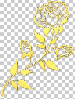 Paper Floral Design Flower Convite Wedding PNG, Clipart, Collecting ...