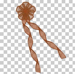 Brown Ribbon PNG Transparent Images Free Download