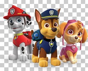 PAW Patrol Puppy Dog Child Party PNG, Clipart, Animals, Birthday, Child ...